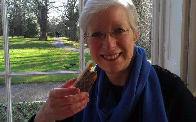 New Year greetings to you all