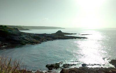 Home from Prussia Cove