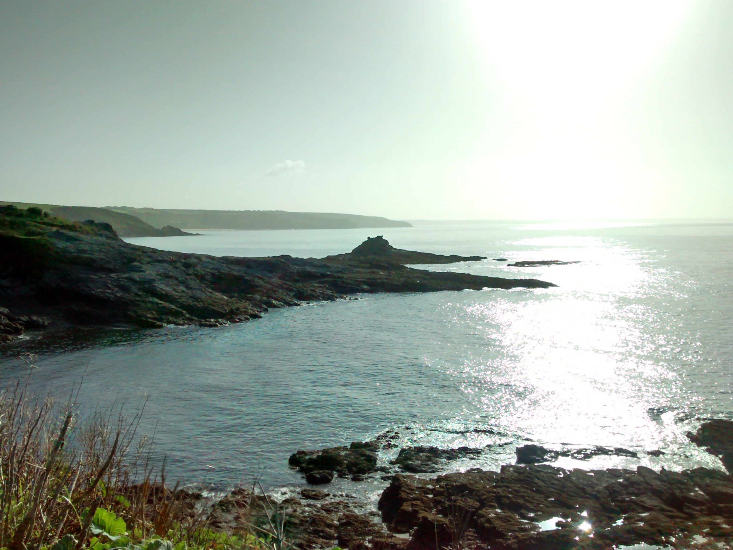 Home from Prussia Cove Susan Tomes