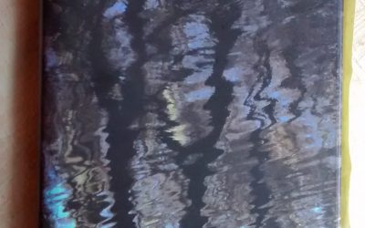 Books of the Year in today’s Herald