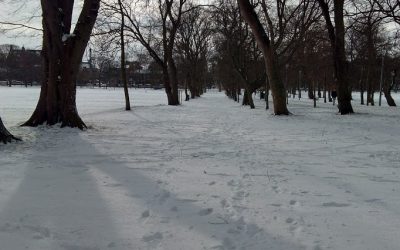 Snow and cancellations