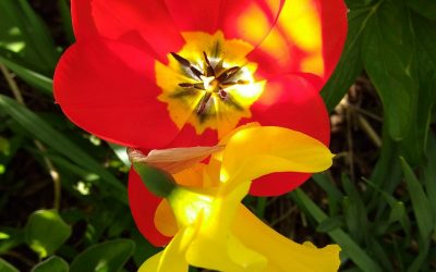 Digesting what you’ve practised