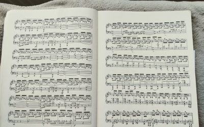 Exploring the Shelves, 13: Schumann’s obsessions