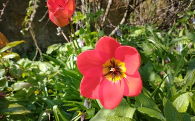 The street is just the street … as time goes by