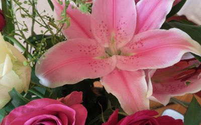 Review of my piano book on David Barton Music