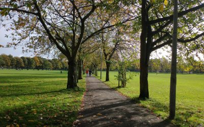 ‘This is a hugely stimulating book that inspires and enlightens’, says International Piano