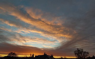 Financial Times ‘Books of 2021’