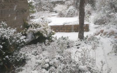 Radio 3’s ‘Building a Library’ recommends recordings of the Ravel Piano Trio