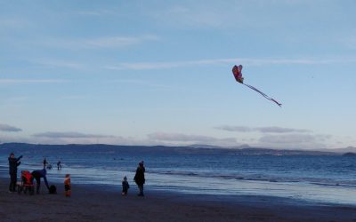 ‘Famously opaque world of classical music’