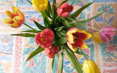 Channel 4’s ‘The Piano’