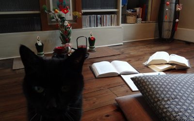 My Japanese colleagues