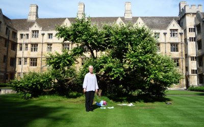 Not a museum of glass and stone