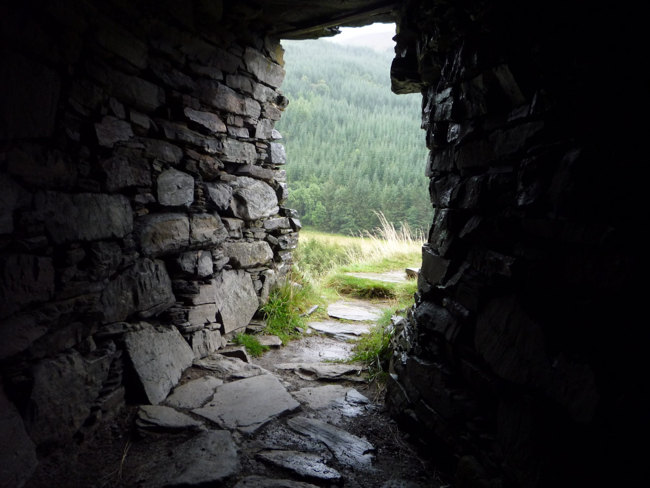 cover photo of 'Out of Silence'