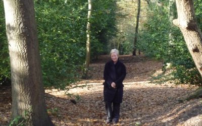 Catering van fantasies