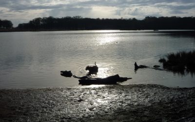 Looking into the sun