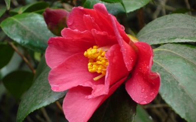 Calm before the storm