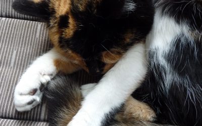 Better than it sounds