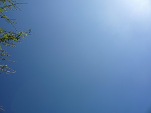the sky above my house