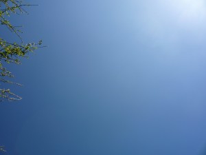 the sky above my house