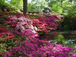 isabella planation 2010