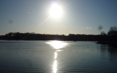 A mention in the New York Times