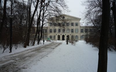 Graz trio final tomorrow