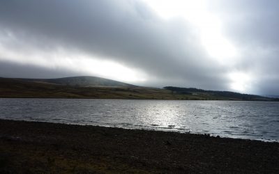 Ceylan’s ‘Anatolia’