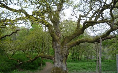 ‘Highlights of 2012’