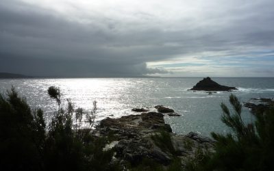 Another dose of Prussia Cove