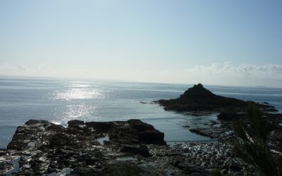 Carrying on a tradition