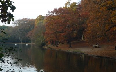 ‘One of the best books of 2012’