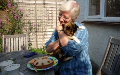 Our cat’s 14th birthday