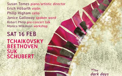 Is there a way to avoid concert clashes?