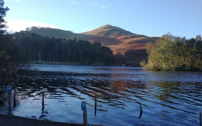 Why are most concerts performed just once?