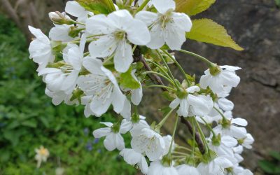 My book comes out in the US today