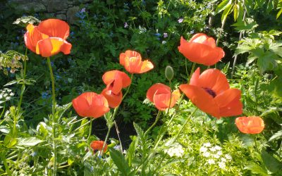 Edinburgh Book Festival programme announced