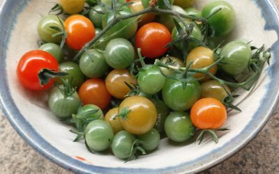 Schubert’s early piano sonatas