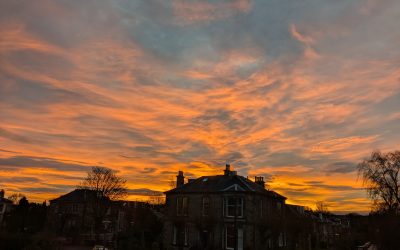 Looking over the list of books I read this year