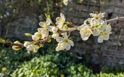 Background music that won’t stay in the background