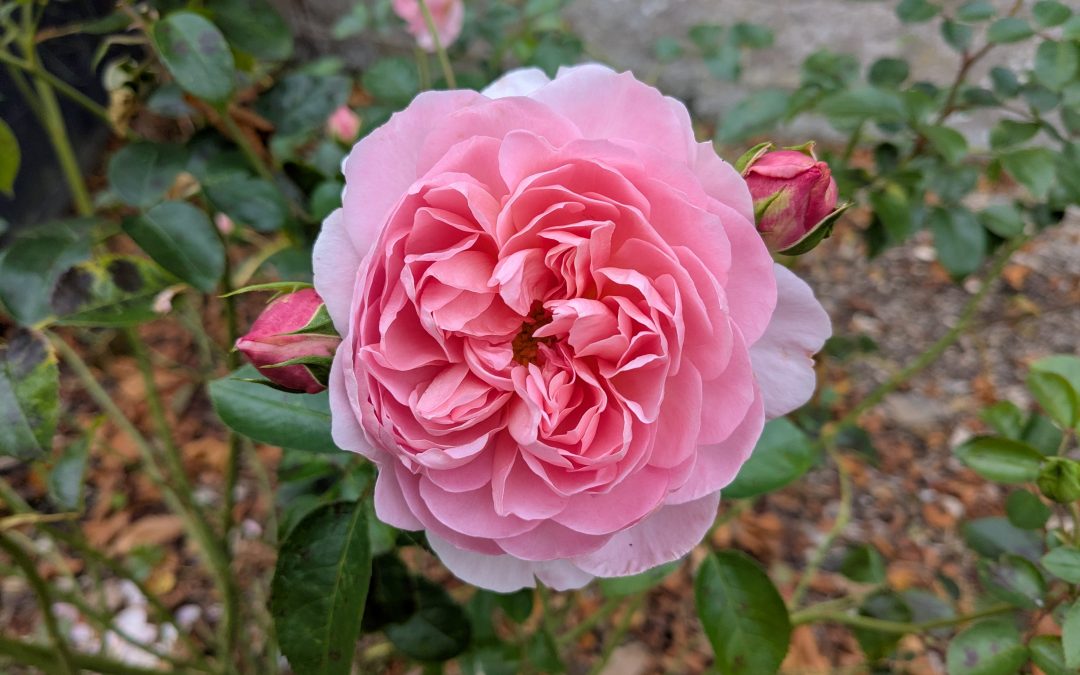 ‘We went there to learn, not to shew off’