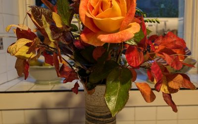 A nice memory of Prunella Scales