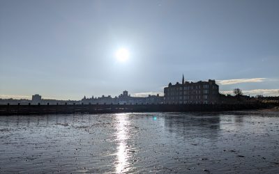 ‘… a mad attack upon your hands’