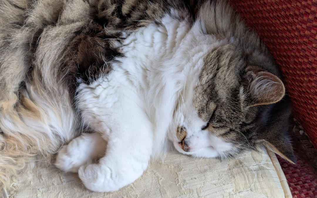 A dream of a former home