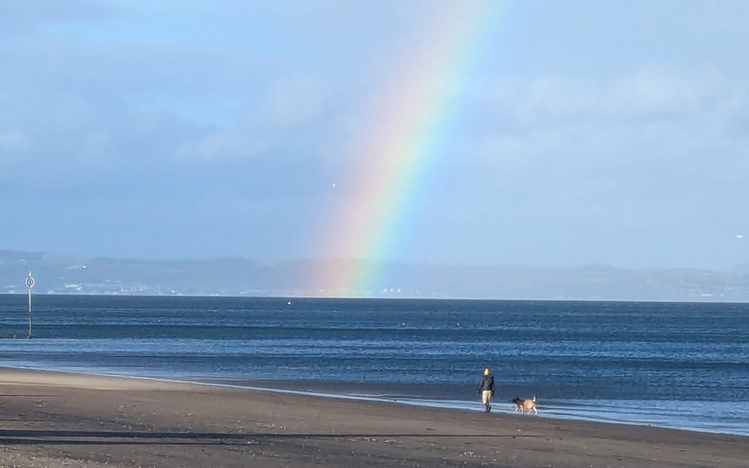 My top books of the year 2025