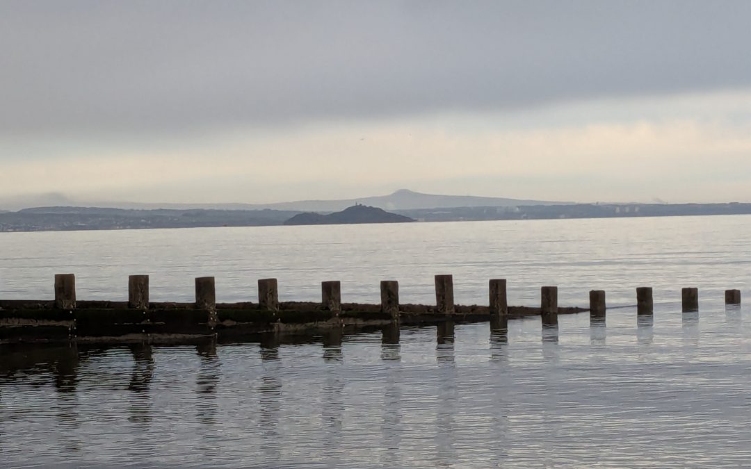 Reading books, reading music