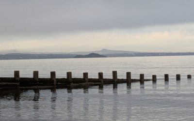 Reading books, reading music