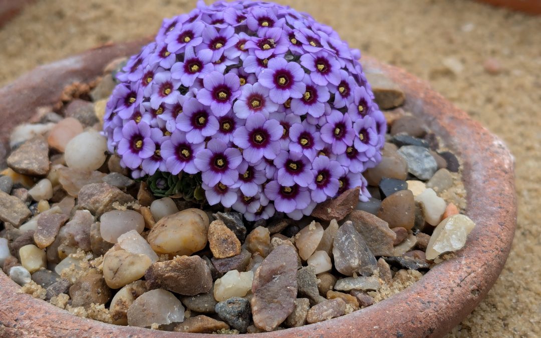 Every part of the brain