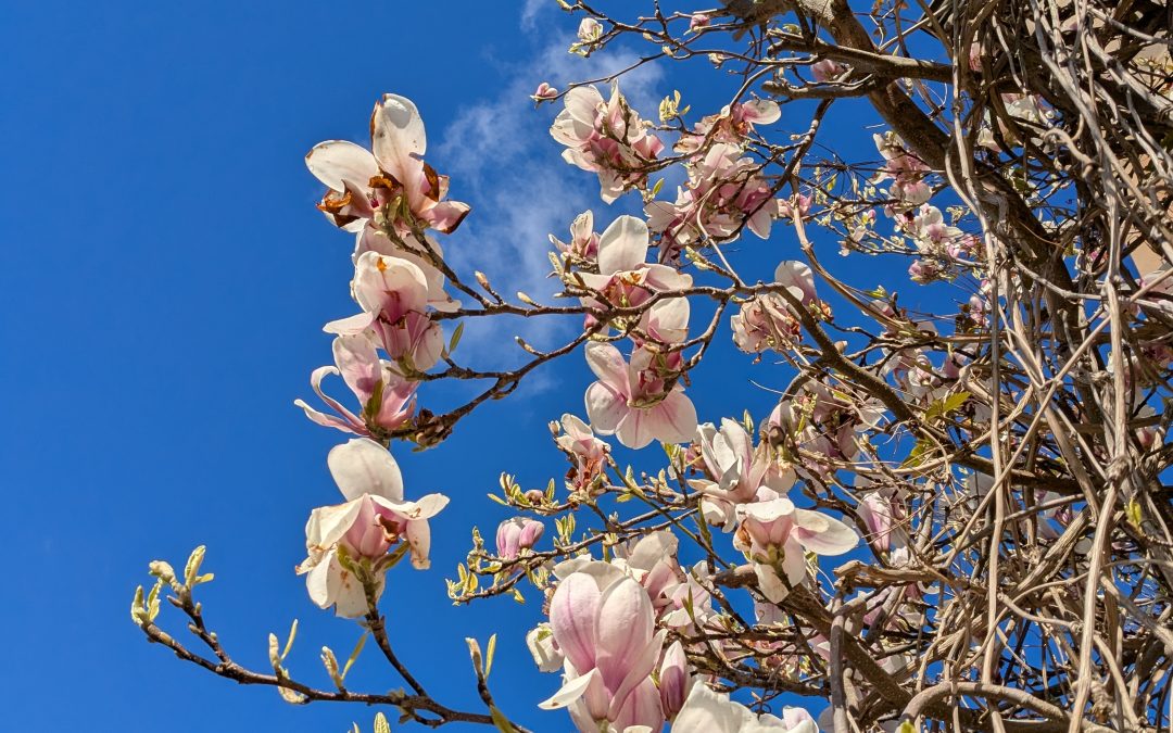 Thinking back to my first time at Wigmore Hall