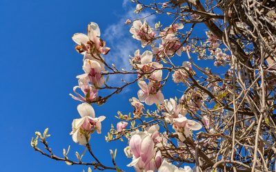 Thinking back to my first time at Wigmore Hall