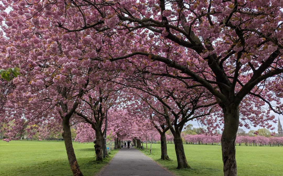 Can a piano retain a memory of who’s been playing it?